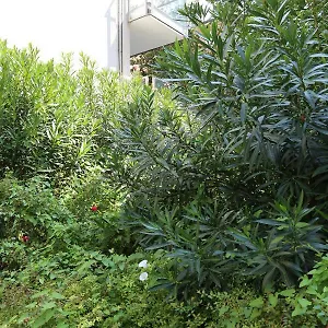 Appartement Vela Suites Centro Con Garage, Milan